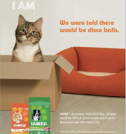 SPCA ad (disco theme2)