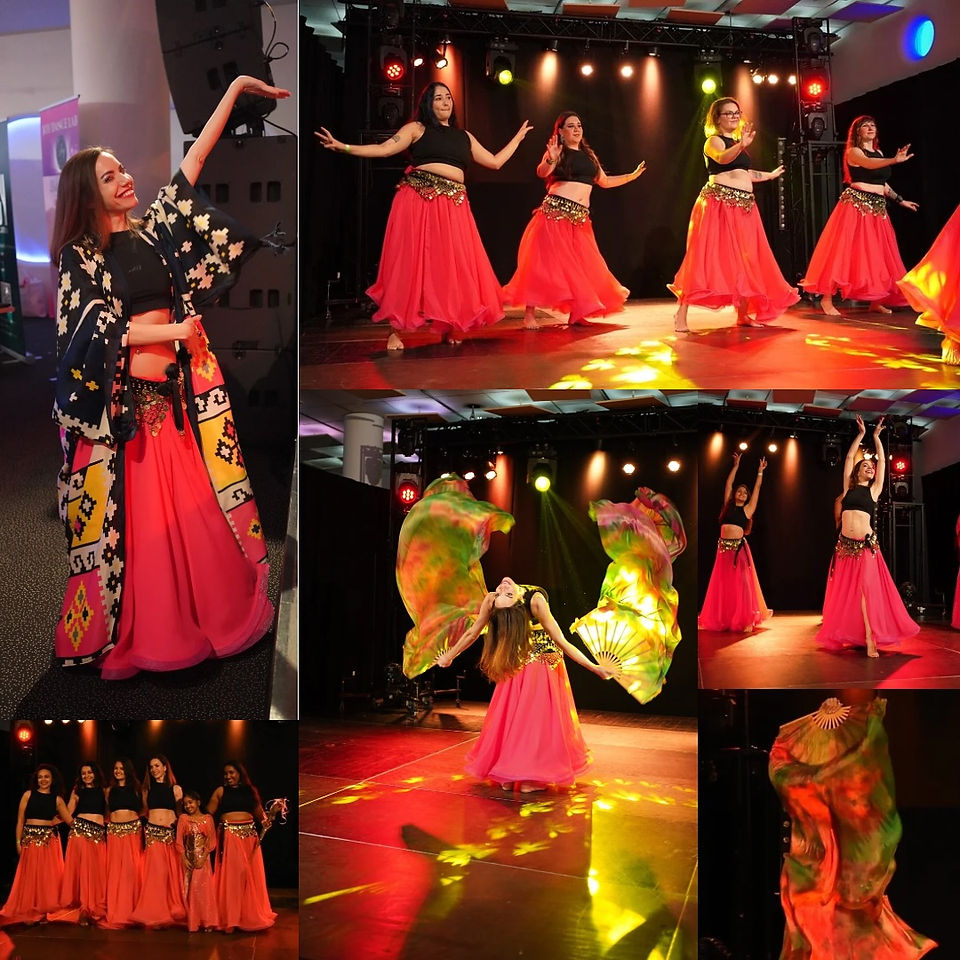 bellydance cultural show