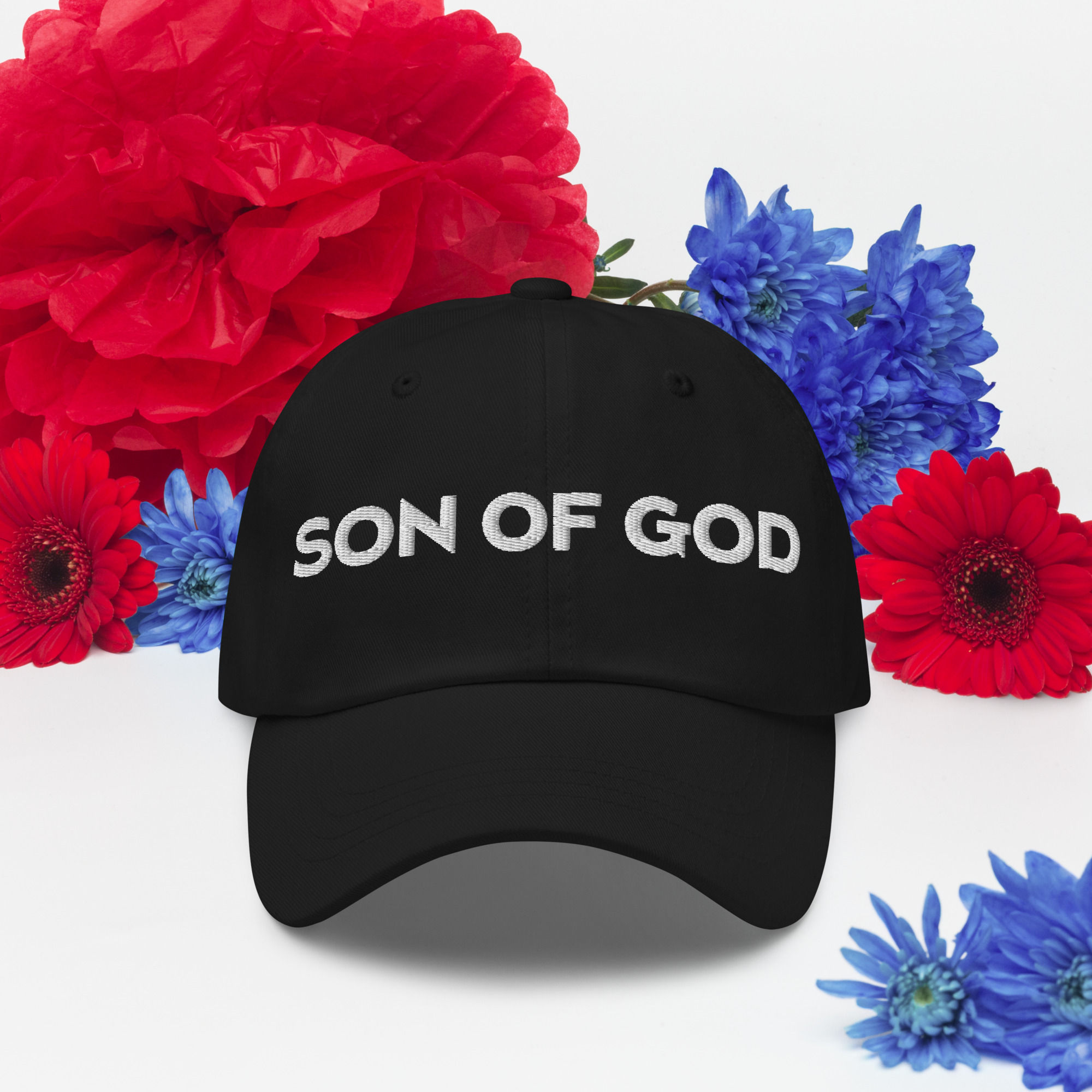 sg - Dad hat