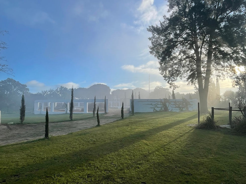 Release & Renew Retreat