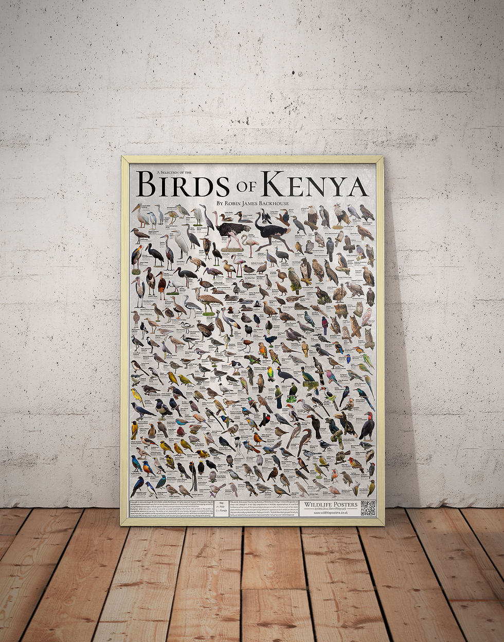 Thumbnail: Birds of Kenya Poster (A2)