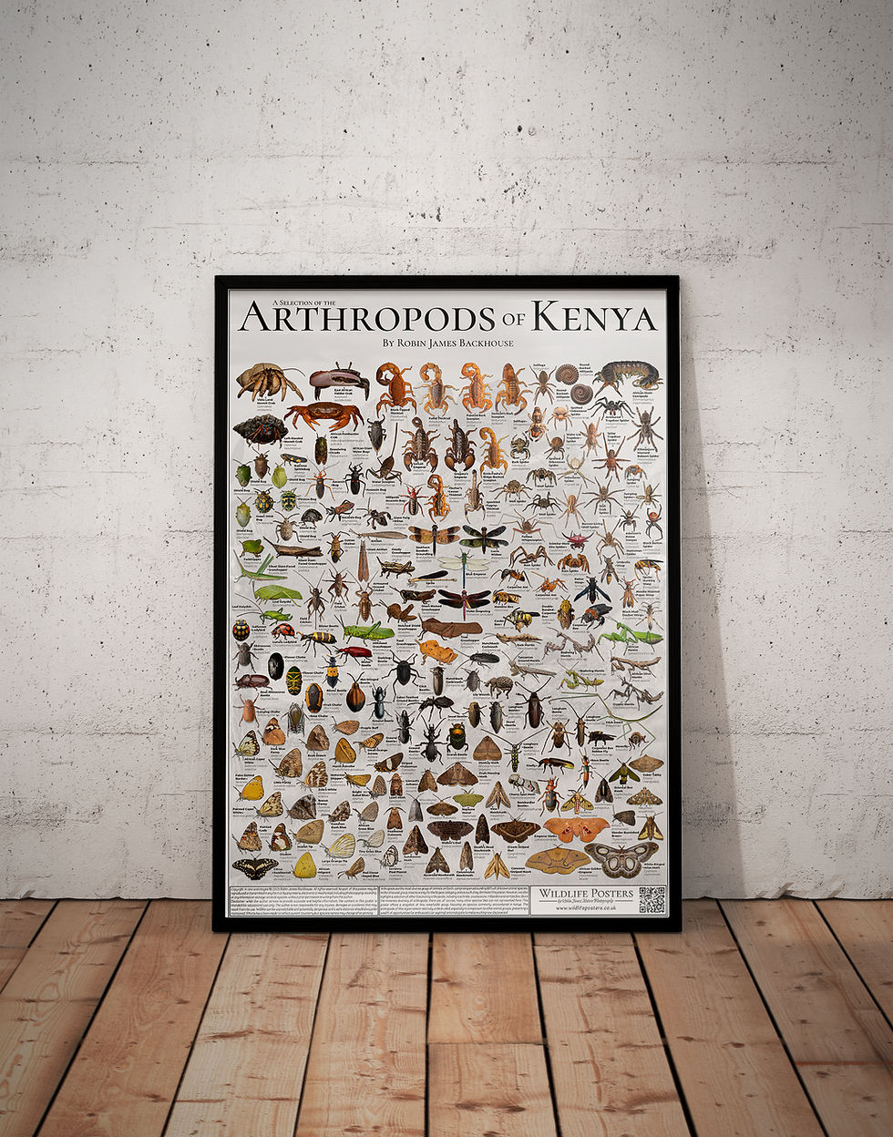 Thumbnail: Arthropods of Kenya Poster (A2)