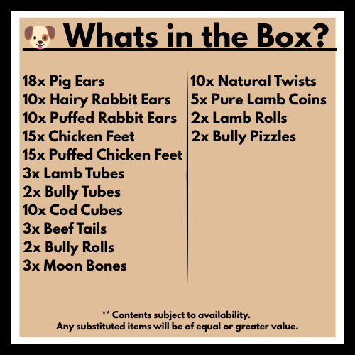 What's in the Box?