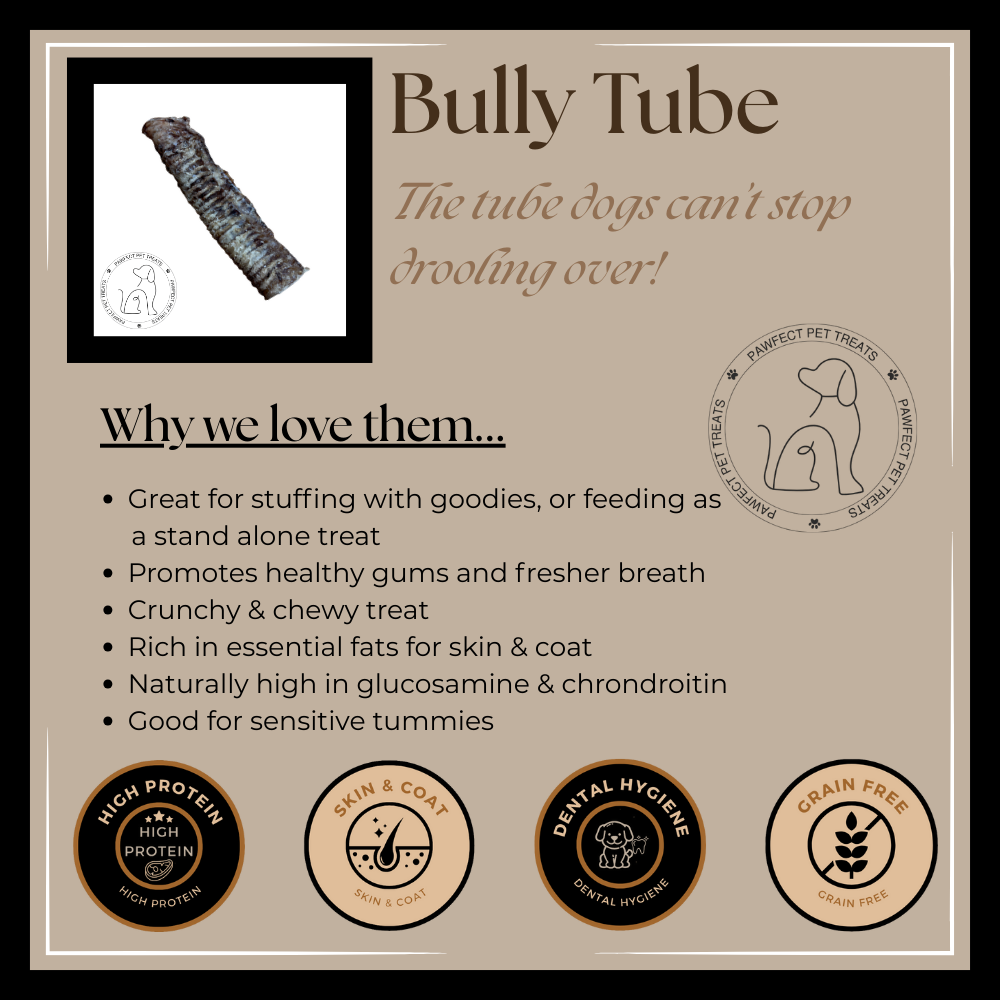 Bully Tube Information