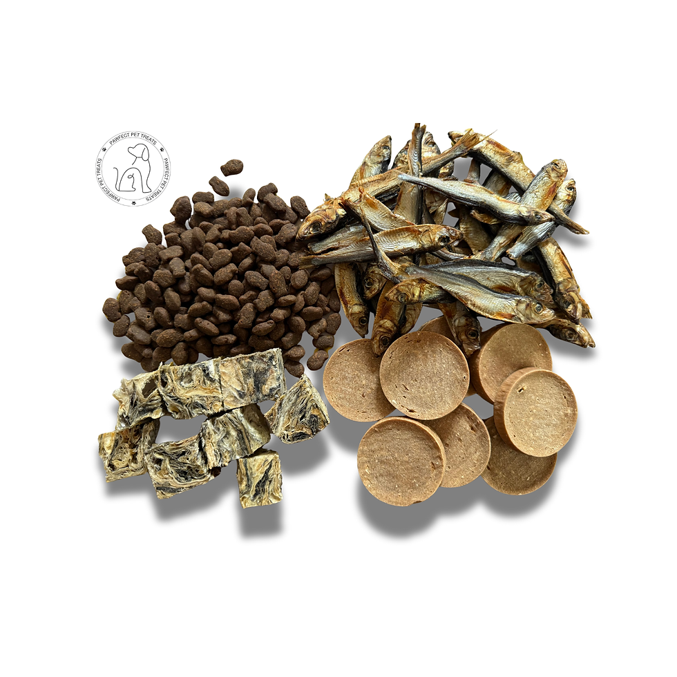 Fish Training Treats for Dogs