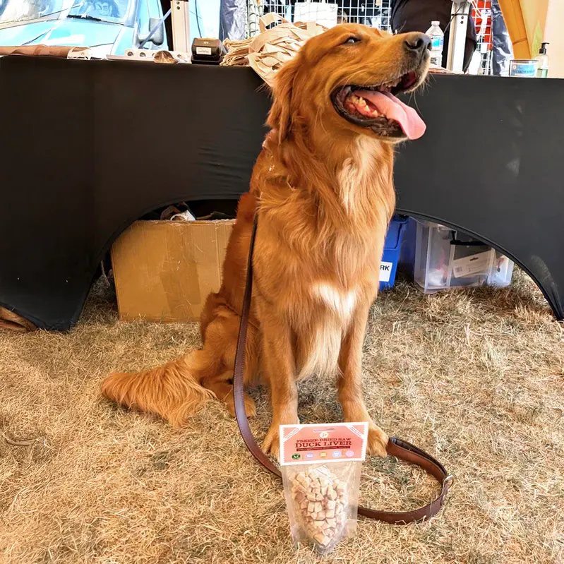 Cute Dog with Liver Dog Treats
