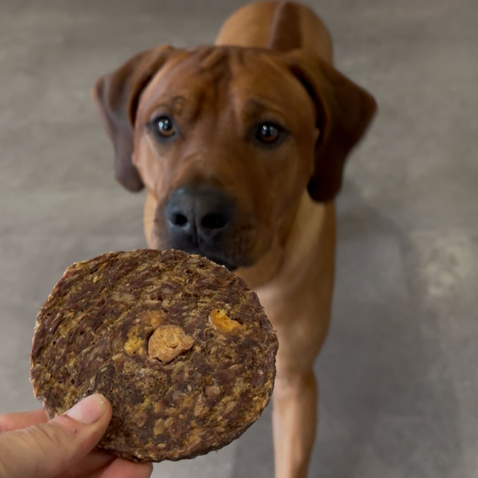 Dog Treat