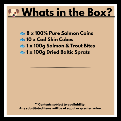 What's in the Box?