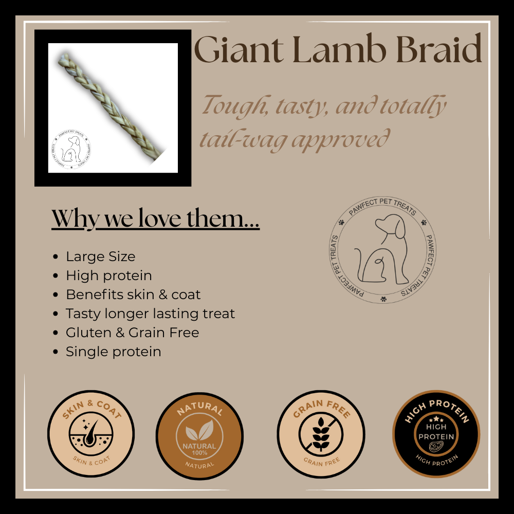 Giant Lamb Braid Info