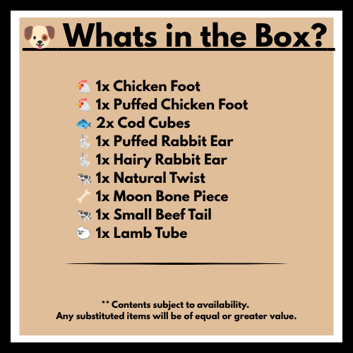 What's in the Box?