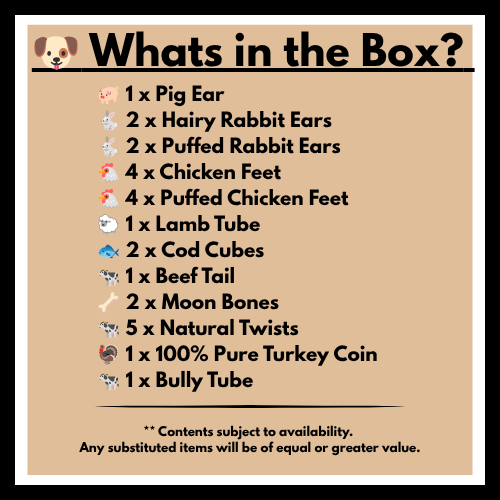 What's in the Box?