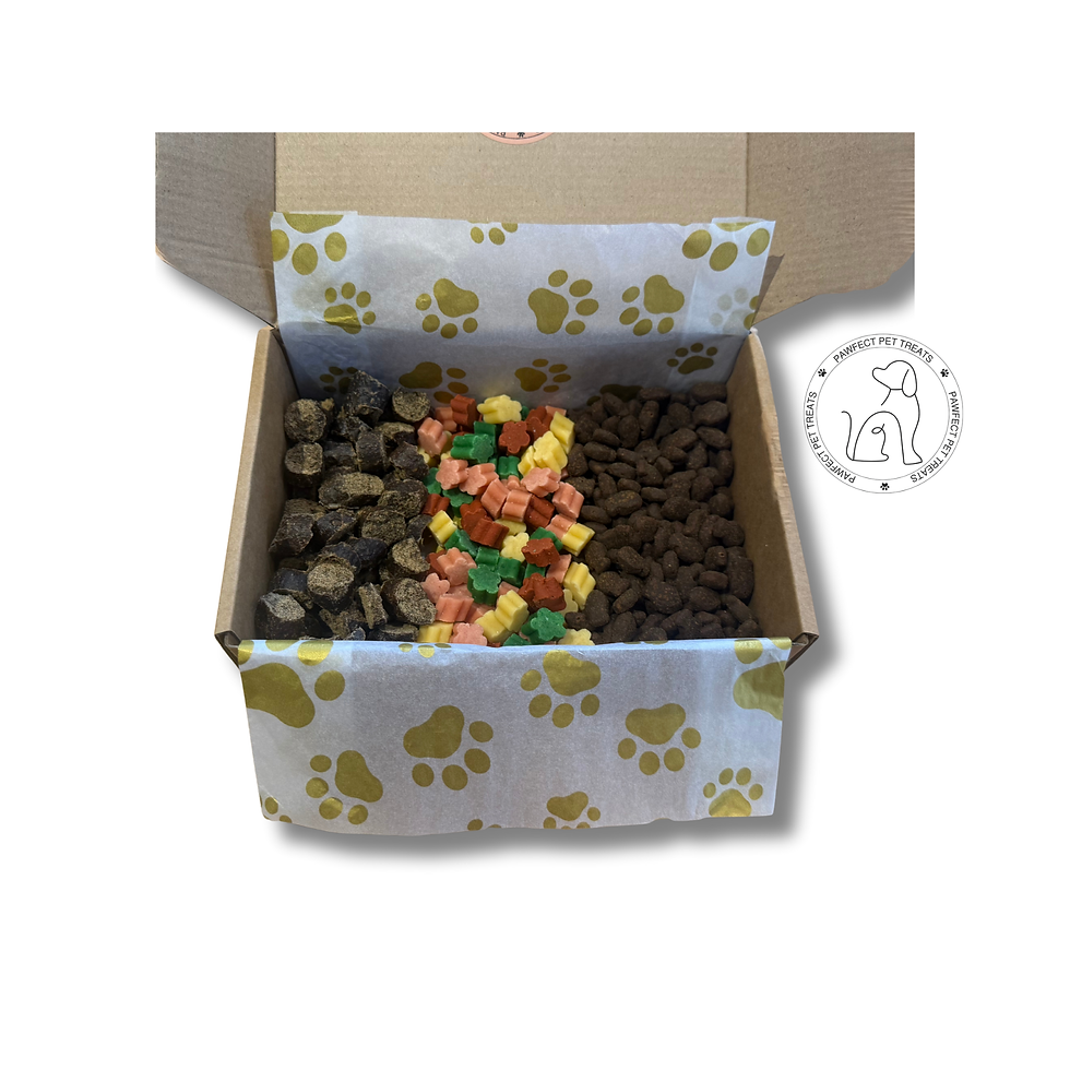 Poultry Free Gift Box for Dogs