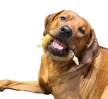 Chip Snack_edited_edited.jpg