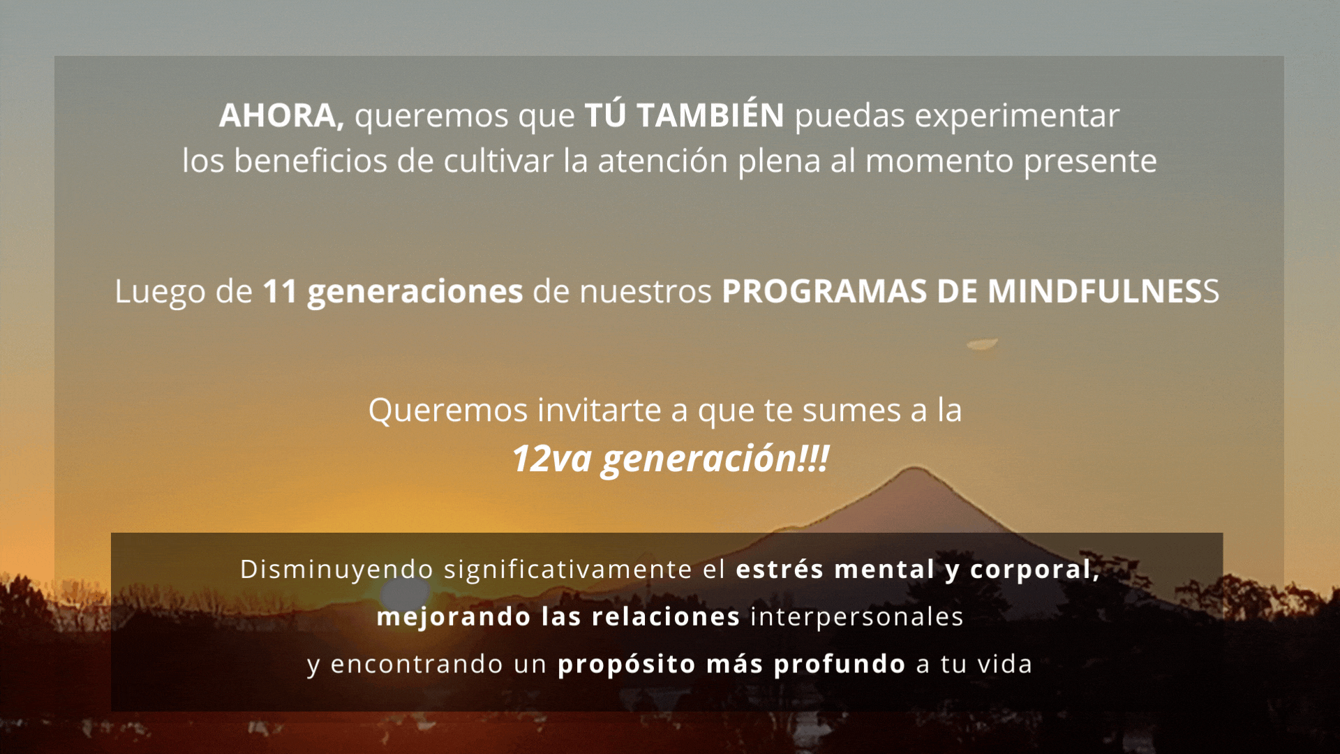 programa 12 para web y ppt 04.gif