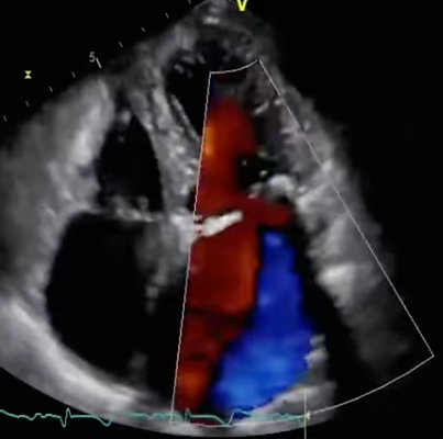 Screenshot 2025-11-15 at 11.45.35.png