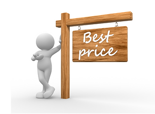 Price development