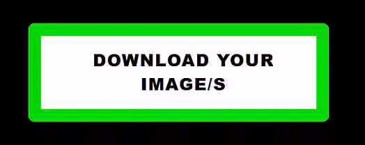 A website user interface dashboard element showcasing a bright green highlighted download button illustrating commercial image batch retrieval and secure file repository extraction functions for a finished Stylofuze creative design project | STYLOFUZE