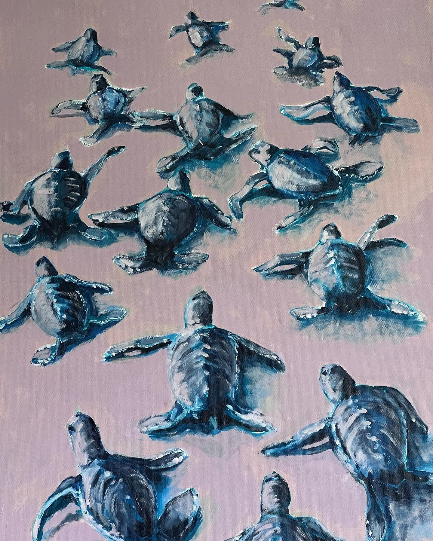 Baby Turtles on the Move