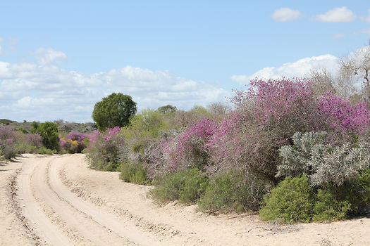 sans titre (4 sur 24).jpg