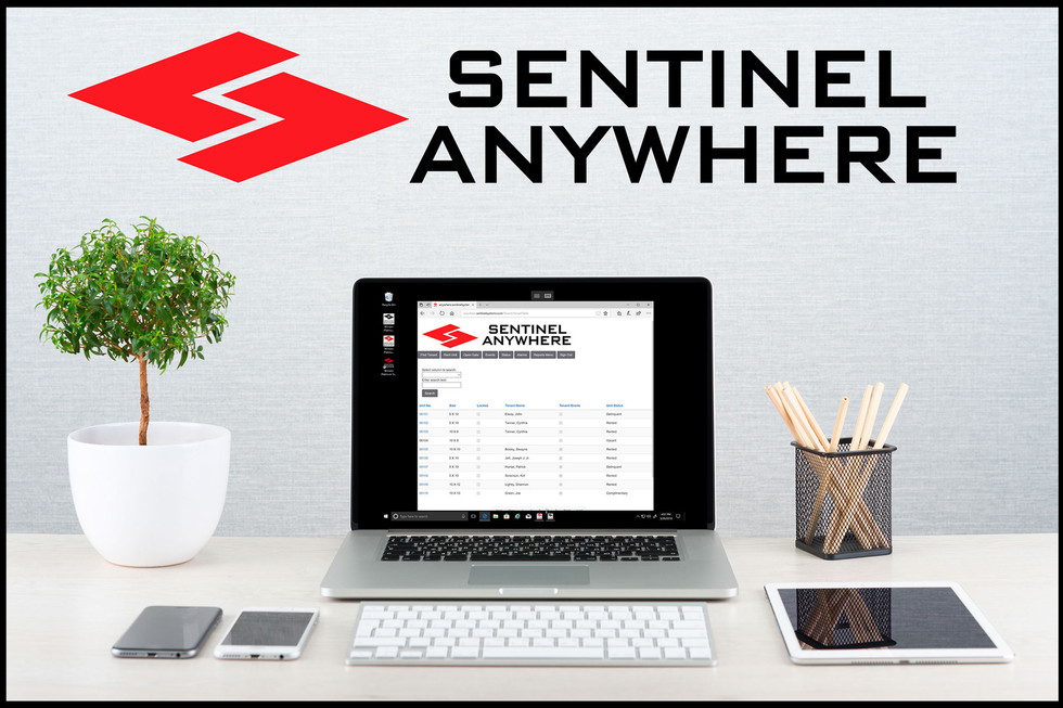 sentinel-anywhere-1st-final-bb.jpeg