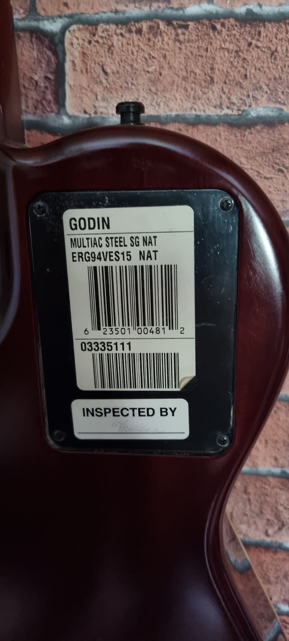 Miniature : Guitare GODIN MULTIAC STEEL