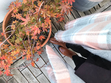 LOOK - NOVEMBREÂ 2018