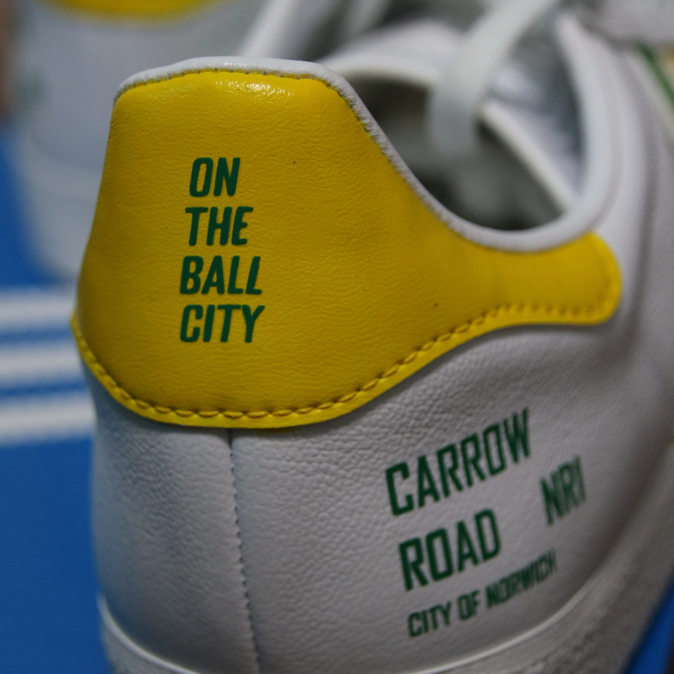 Miniatura: NORWICH CITY 