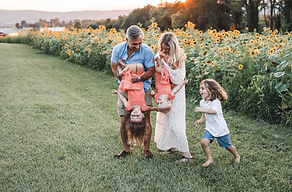 Screenshot 2025-06-10 at 10.10.30 AM.png