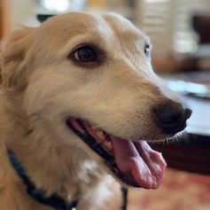 Cooper