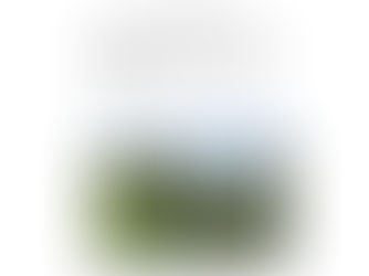 The Wild Side of Hospitality | More Than Just a Stay