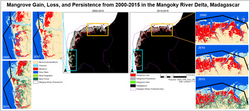 Mangrove loss gain persistence maps