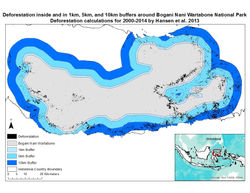 Bogani Nani Wartabone Deforestation