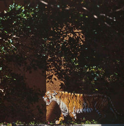 El Palmer, 1994
