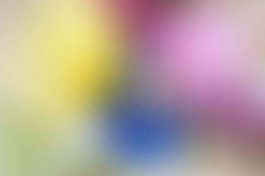 Springtime Rings and Details