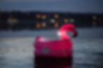 Thumbnail: Island Hopper Flamingo Kit