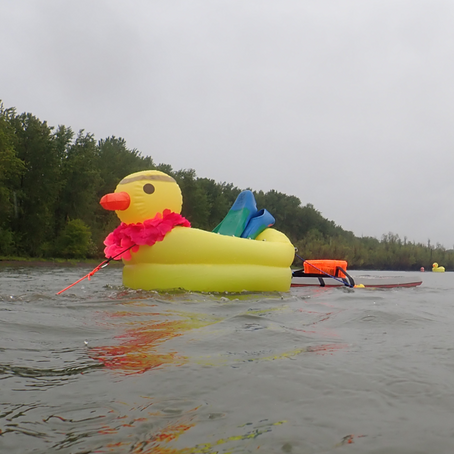 Pros and Cons of Using Fins in Open Water Swimming