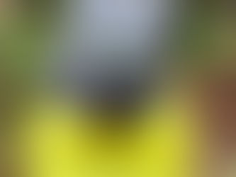 Halloween Costume Contest Submissions