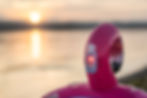 Thumbnail: Island Hopper Flamingo Kit