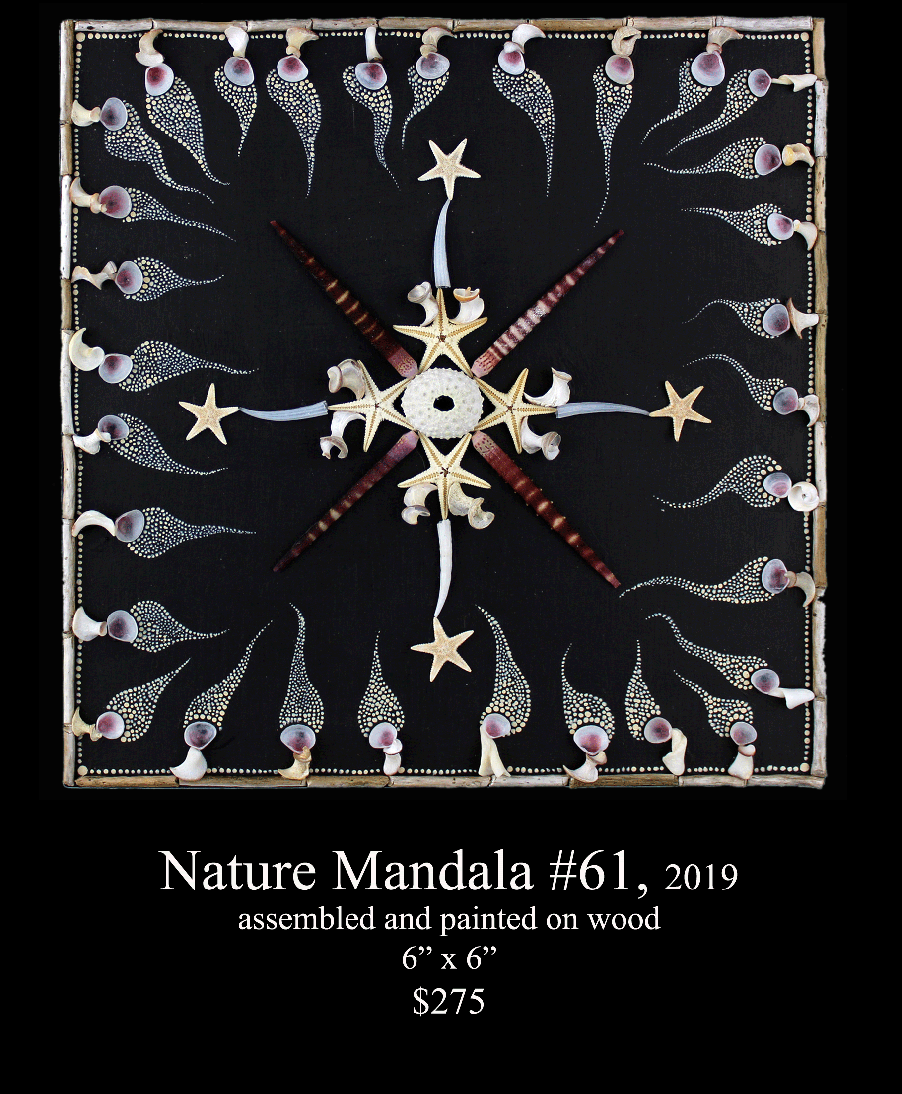 NM61