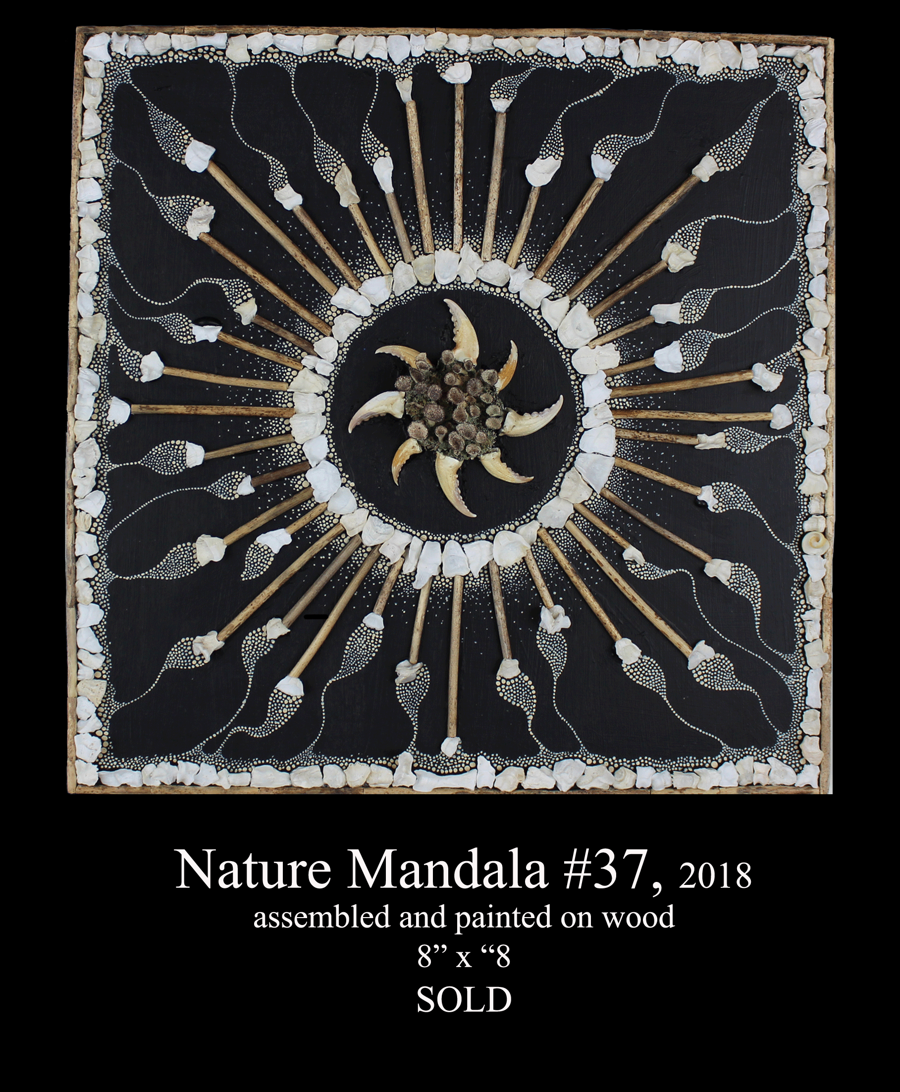 NM37