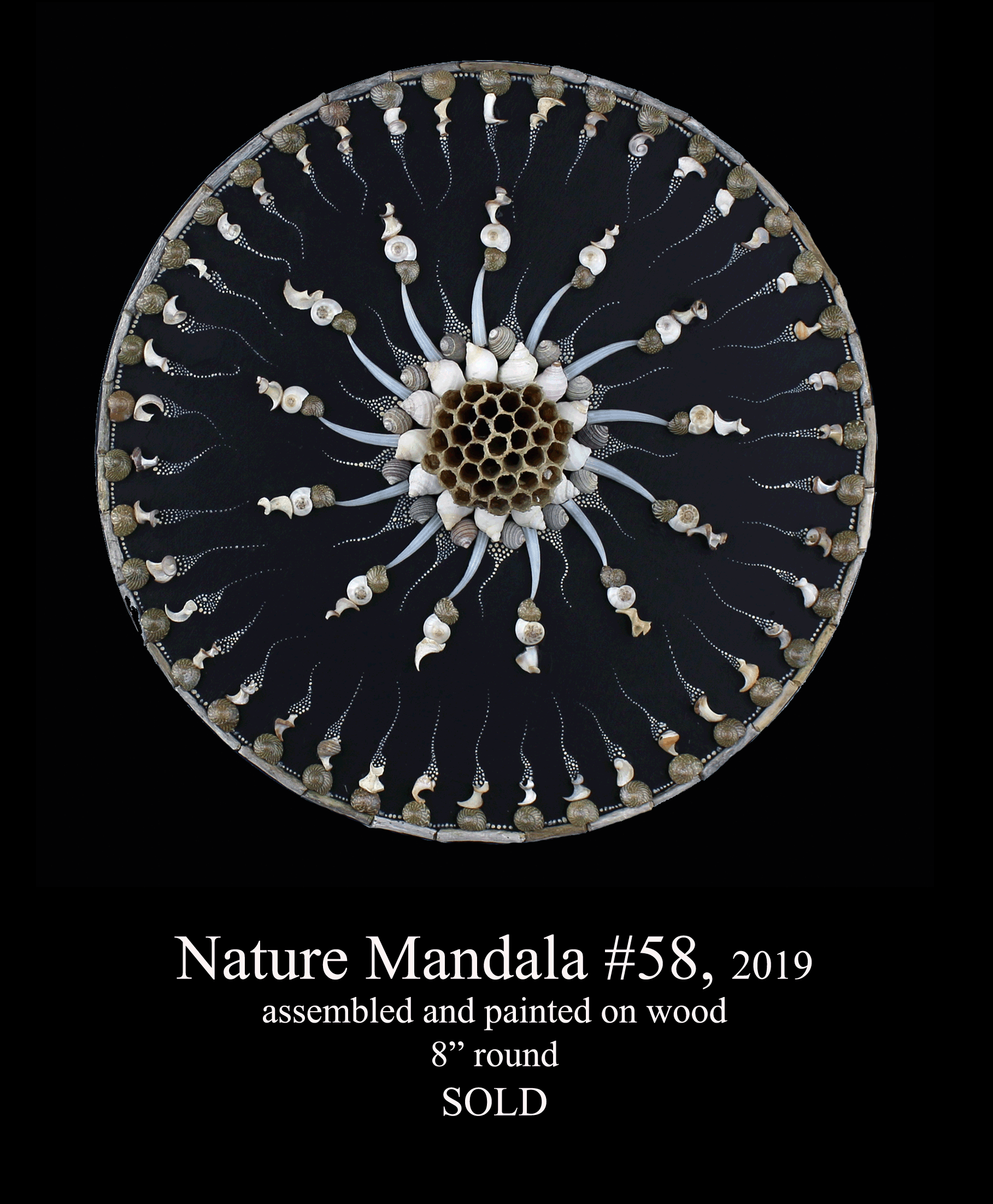NM58-for-Website update
