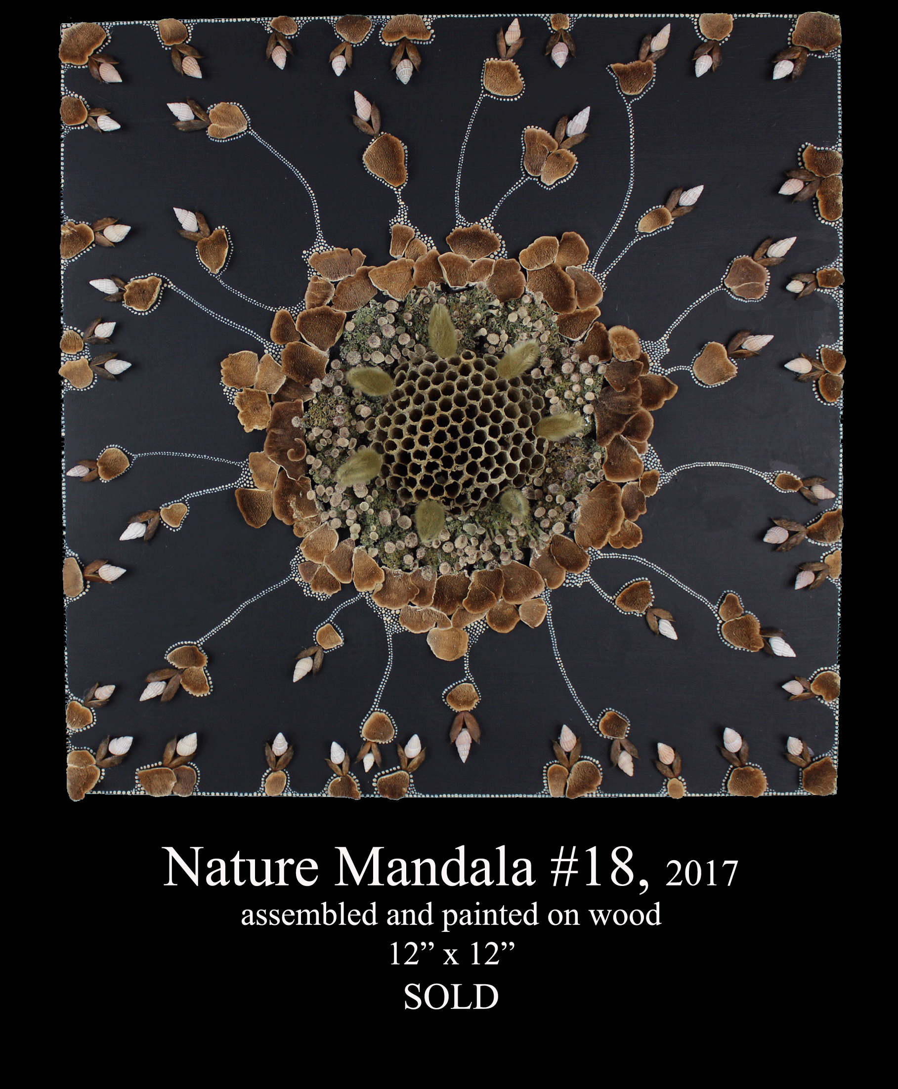 NM18