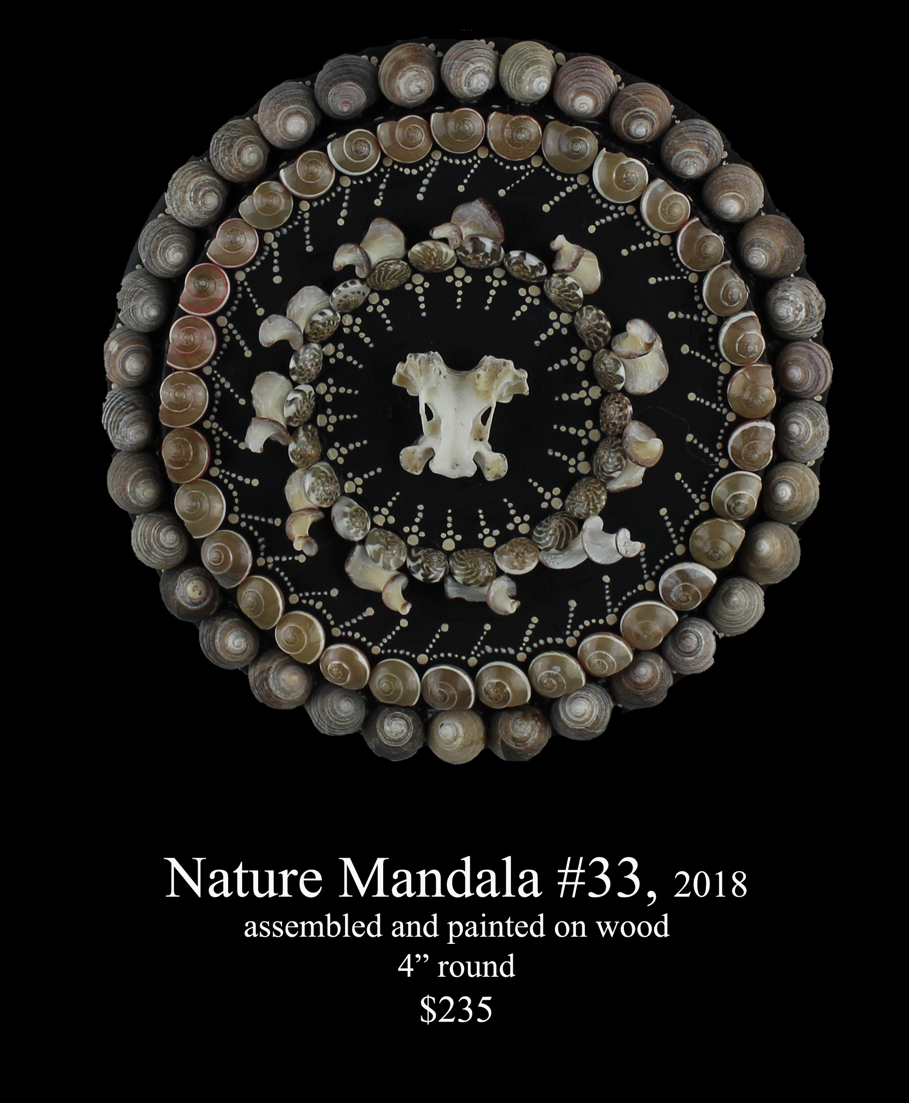 NM33