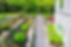 Ecological Landscaping Preparation