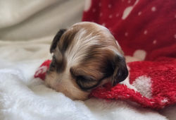 20250214_144422_edited