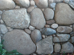 DSC05601