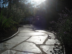 DSC08094