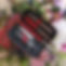5381-ROT_canal_etui.jpg