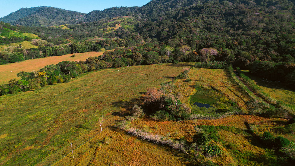 DJI_0747.jpg