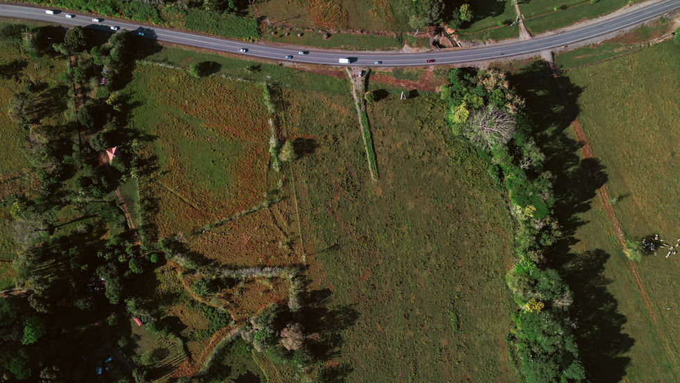 DJI_0697.jpg